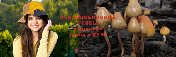 крисы Верея