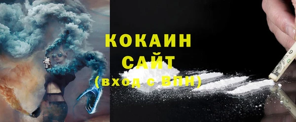 крисы Верея