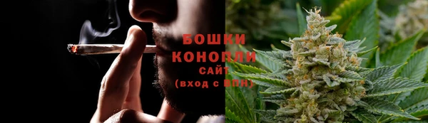 крисы Верея