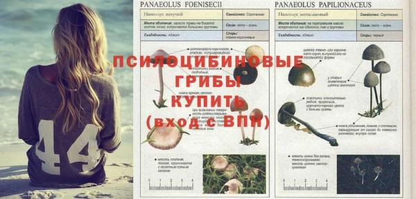 марки nbome Верхний Тагил