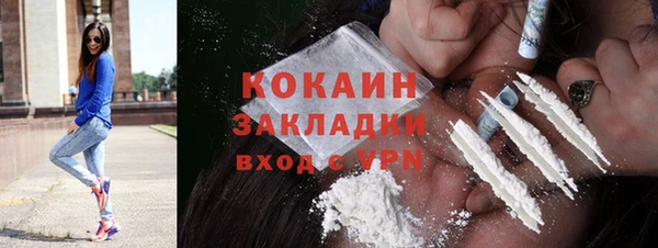 крисы Верея
